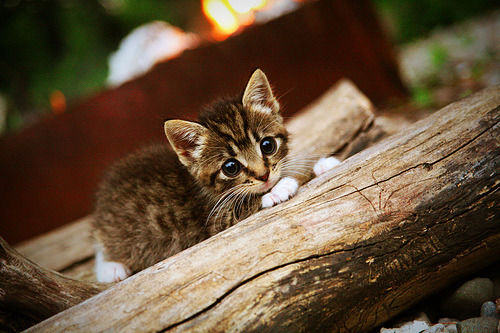 前场控球点分布是否与射门角度选择有关,前场控球点分布是否与射门角度选择有关