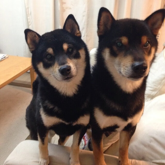 选手家属首次走进赛场分享支持背后故事