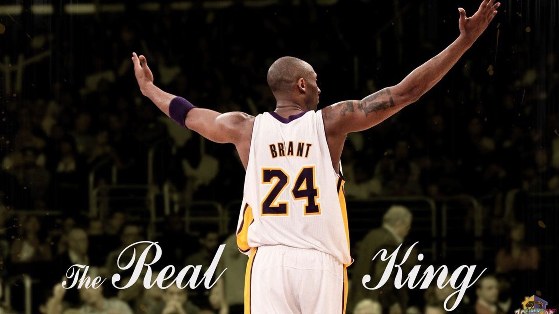 霍特·巴雷特：全黑队进攻系统的中枢，攻防转换的速度机器，霍巴特攻略